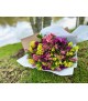 Bouquet Alstromelias