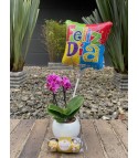 Combo 4 Mini orquídea